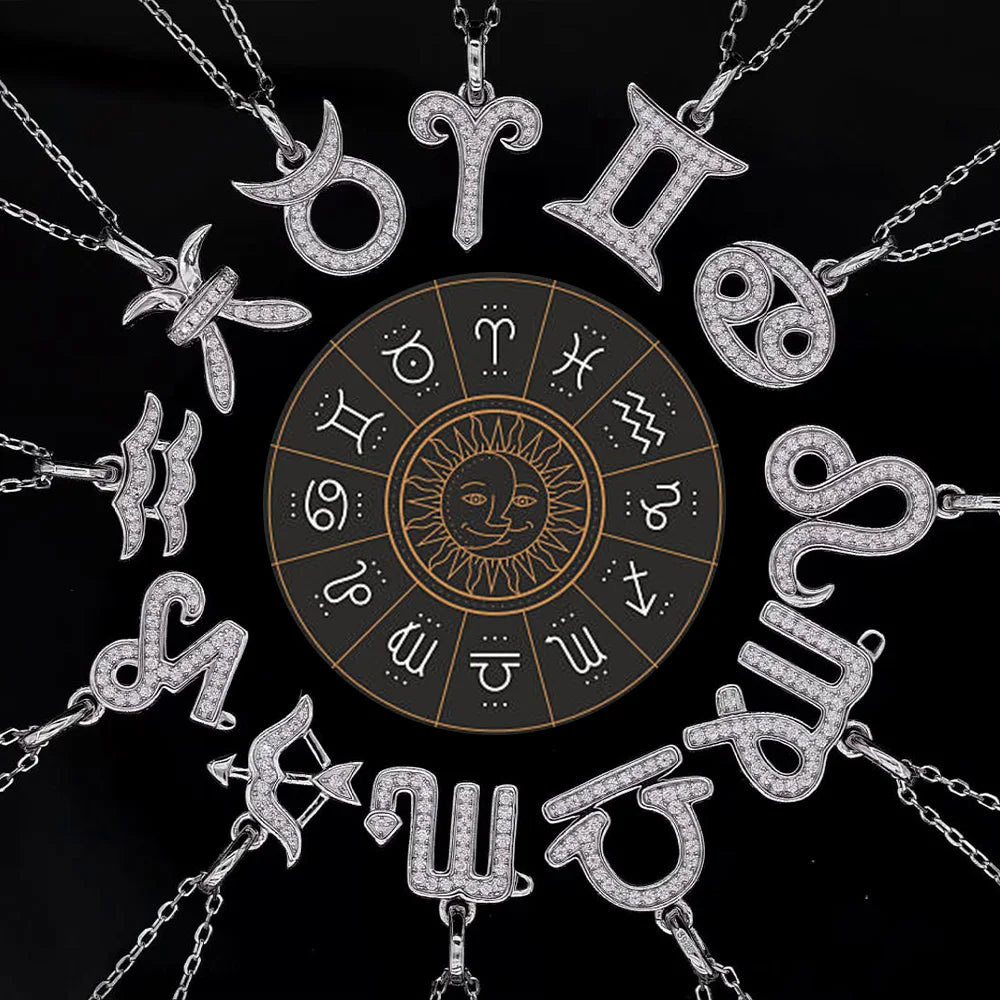 RINNTIN SMN56 Design Jewelry 925 Silver Moissanites D Color VVS Pendant Moissanite NecklaceTwelve Signs of the Zodiac Necklace
