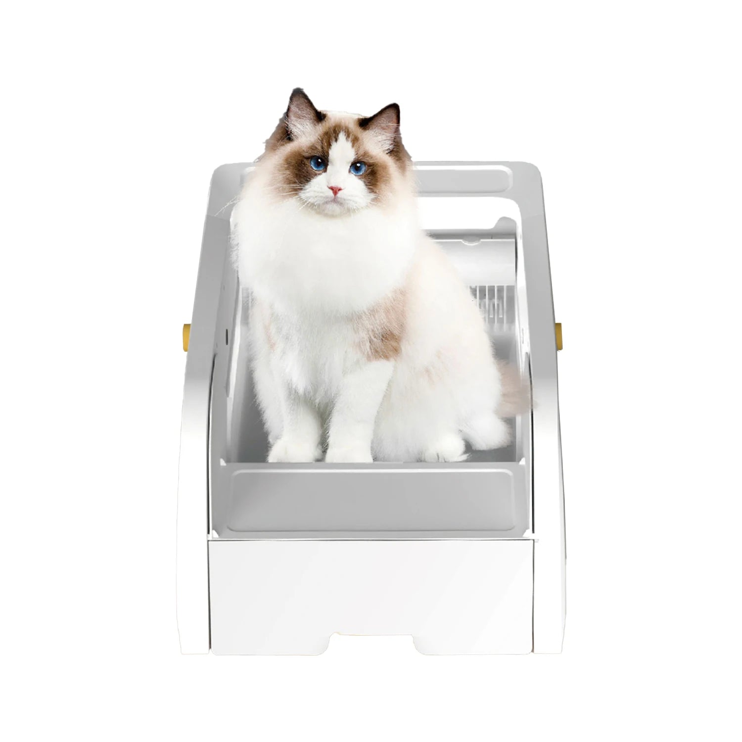 Modern Open Top Smart Cat Cat Toilet with Camera APP WIFI Control Intelligent Self Cleaning Automatic Cat Litter Box