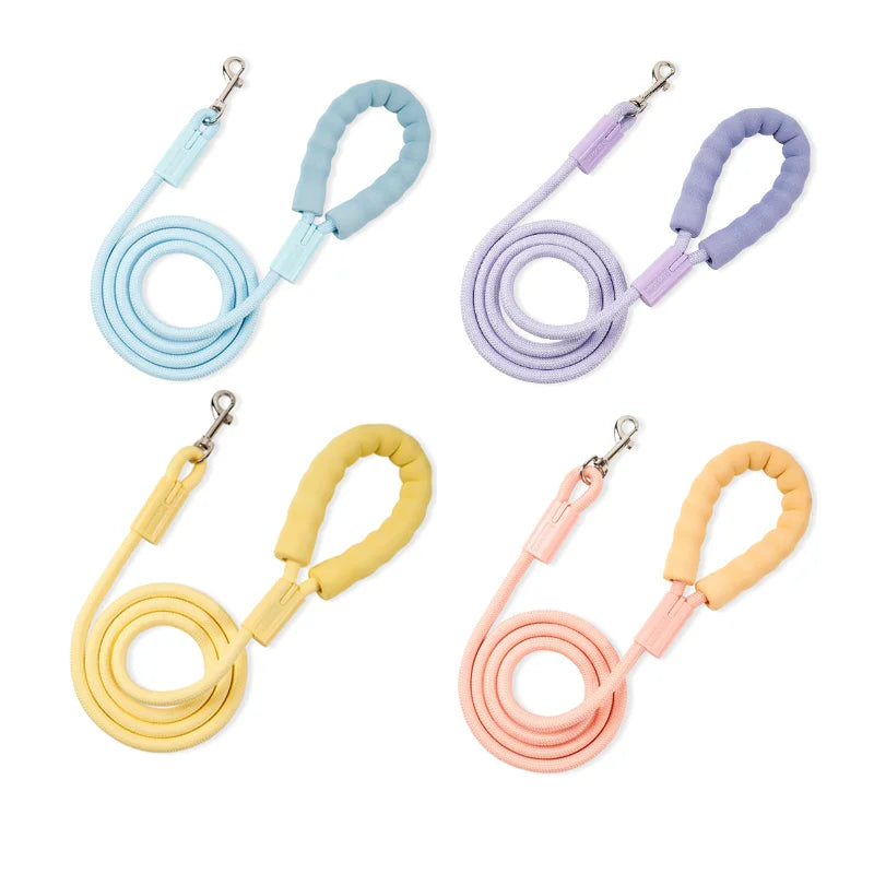 Whole Sale Solid Foam Padded Color XXX Small Dog Nylon Leash With Round Soft Handle Handed