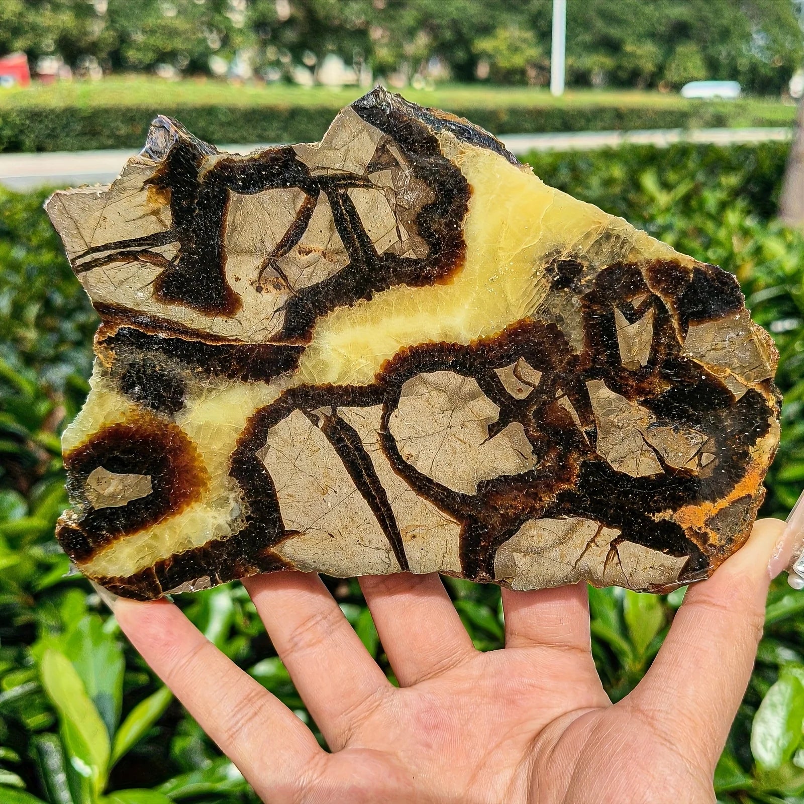 Natural Carved Septarian Polished Crystal Slice for Home Decor Crystal Stone Fashion Trend