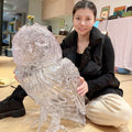 Custom SLA 3d Printed Transparent/clear Resin Animals Transparent clear Resin 3d Printing with Wayne