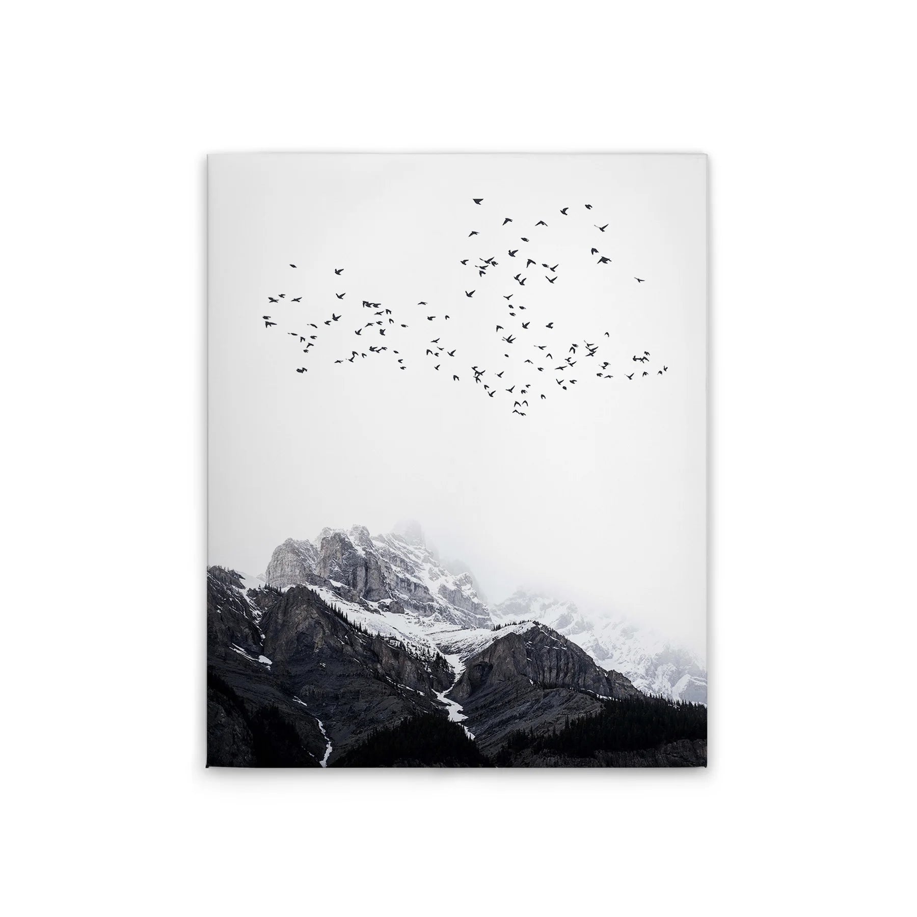 Made In Germany - Home Decor Canvas Picture Winter Mountains With Birds - Wall Mural In White And Black - Stretcher Frame Art