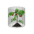 Steel Portable Plant Protector Cage with Wire Mesh Guard for Tomato Vegetable Fruit Plants