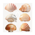 Eco-Friendly Seashells from Vietnam / Lovely for Home Decoration Party Favors & Gift Boxes