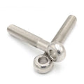 Wholesale by the Ton Bolts and Nuts M10 GEO321A 2507 Submarinas Lifting Eye Bolt