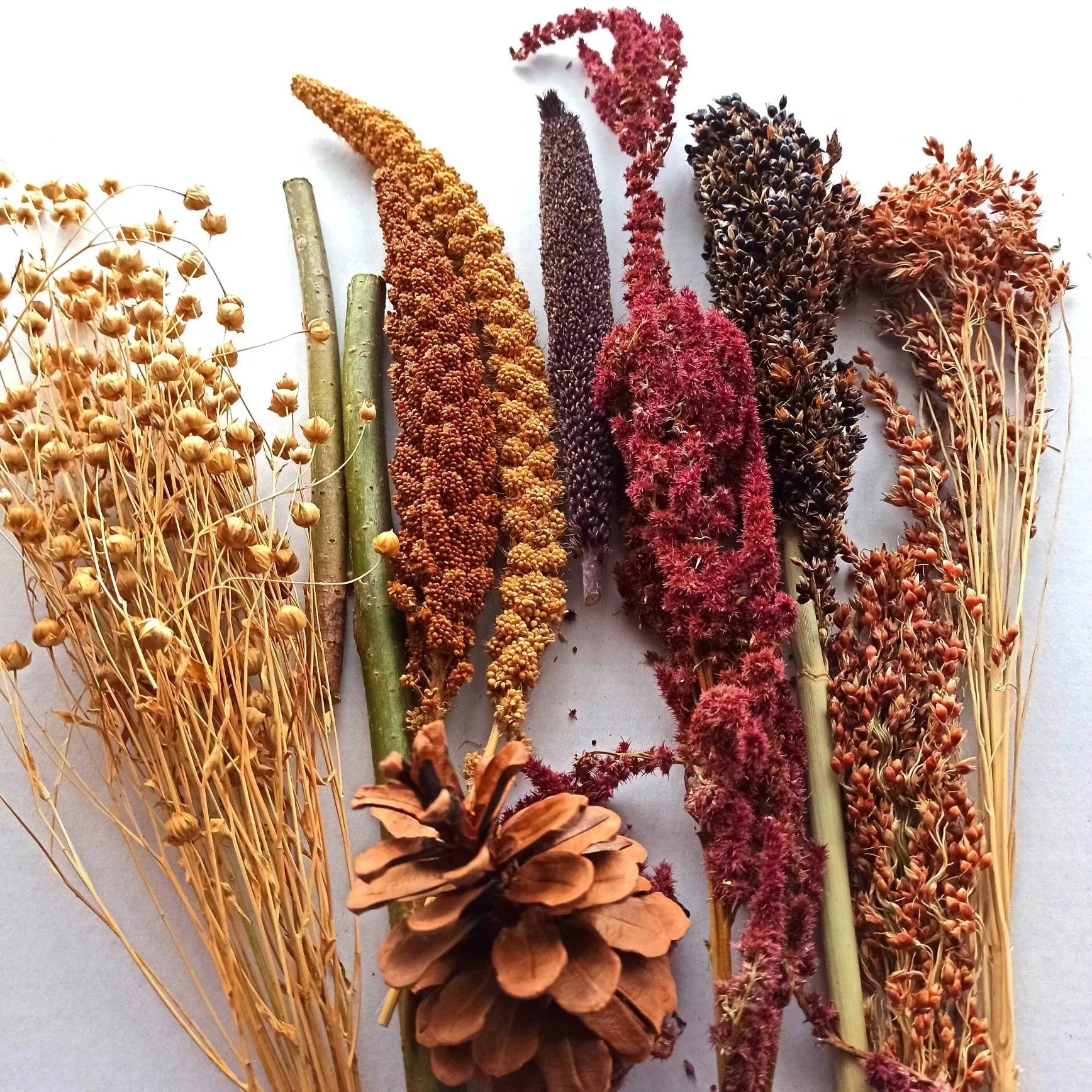 Natural Plant Dried Flower Materials for Edible Hamster Sprays Decorations