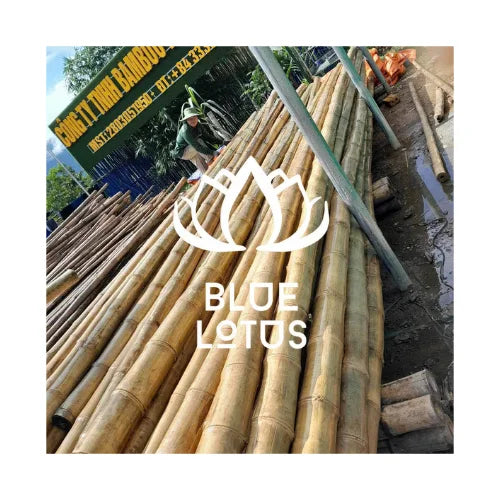 BLUE LOTUS Vietnam Durable Lightweight Bamboo Poles for Home Garden Fence Decoration Tabletop Waterproof for Anniversary