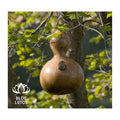 Enhance Your Garden with Our BEST SELLING Gourd Bird Nests. HIGH QUALITY Eco-Conscious & Always AVAILABLE - BLUE LOTUS