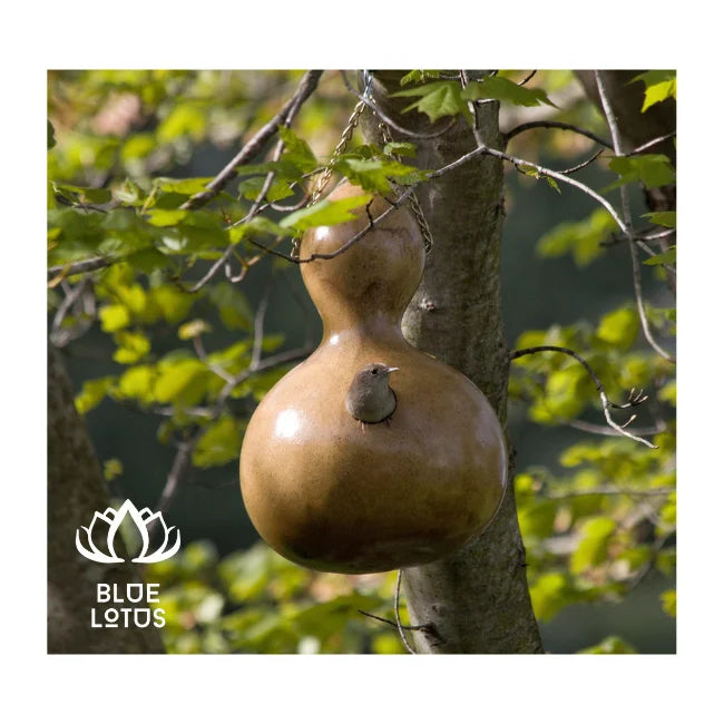 Enhance Your Garden with Our BEST SELLING Gourd Bird Nests. HIGH QUALITY Eco-Conscious & Always AVAILABLE - BLUE LOTUS