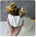 Silicone Molds for Resin Art Creative Polygon Cement Flower Pot Crystal Epoxy Silicone Mold DIY Plaster Flower Pot Mold