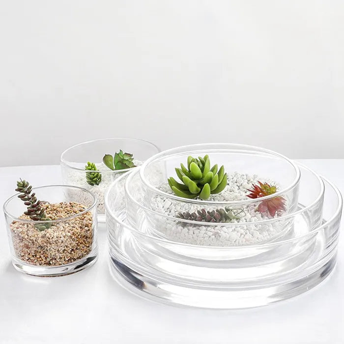 Pressed Thickened Glass Straight Cup Hydroponic Vase for Succulent Flower Pot Diameter
