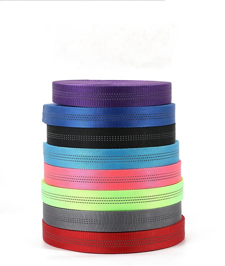 Wholesale High Tenacity 1'' Double Layer Polyester/Nylon Webbing Dog Leash Embroidered Hollow Tubular Reflective Strap for Pet