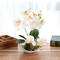 Premium AYOYO Artificial Phalaenopsis Orchid 3-Stem Large Potted Plant Eco-Friendly Desktop Indoor Decoration Silk Flower MegaBDM