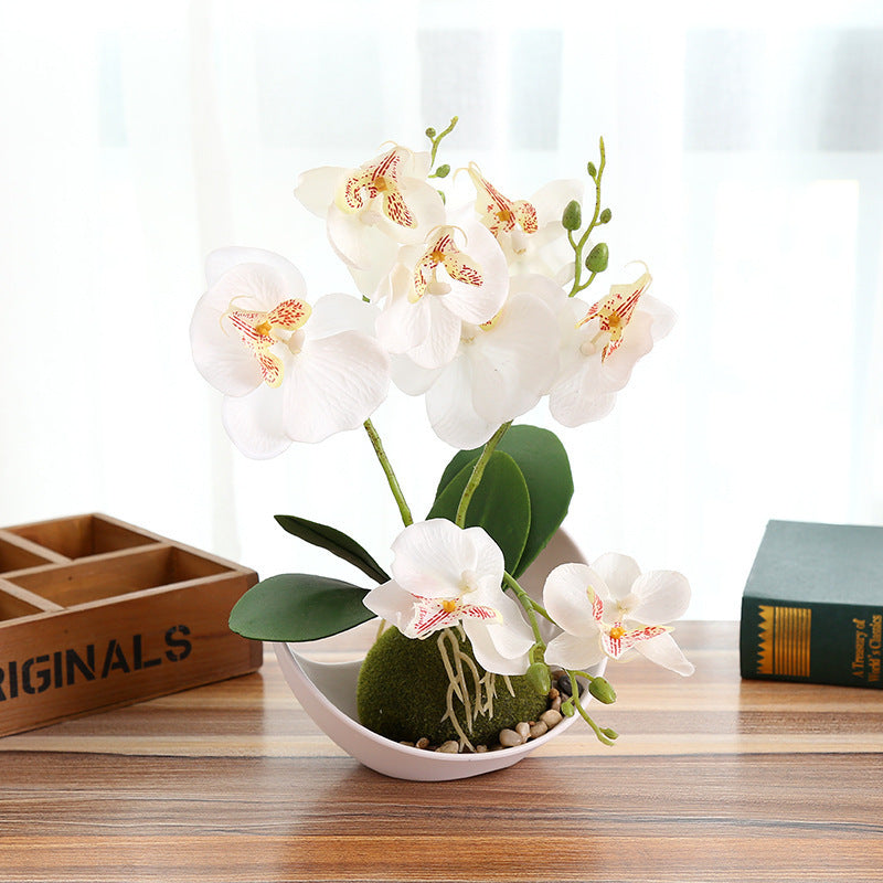 Premium AYOYO Artificial Phalaenopsis Orchid 3-Stem Large Potted Plant Eco-Friendly Desktop Indoor Decoration Silk Flower MegaBDM