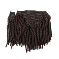Spring Curly Clip in Hair Extension 100% Remy Human Hair Extensions