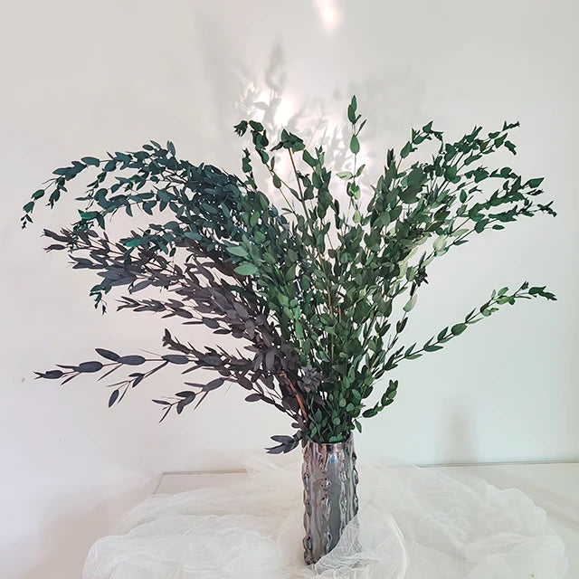 Immortal Fine Leaf Eucalyptus Candle Small Pointe Dry Flowers Glycerin Preserved Long Lasting 3-5 Years Freestanding New Year