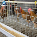 Good Quality Cheap Price Chicken Cage for Sudan Farms