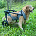 Lightweight Aluminum Dog Wheelchair for Outdoor Walking MegaBDM