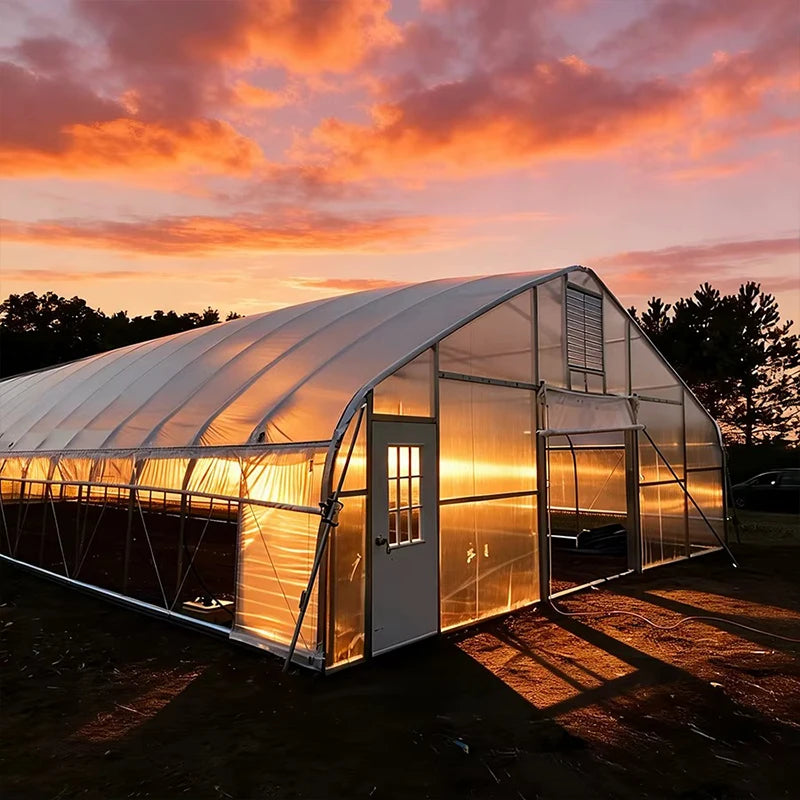 Low Cost 9x30m Green House Frame Green Plastic Film High Tunnel Greenhouses Steel Frame for Sale Single-span Film Greenhouses