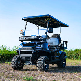 Rainbow Customized Street Legal Electric Golf Cart Golf Buggy 4 Seater 48V Battery Lithium-ion Electric Golf Carts