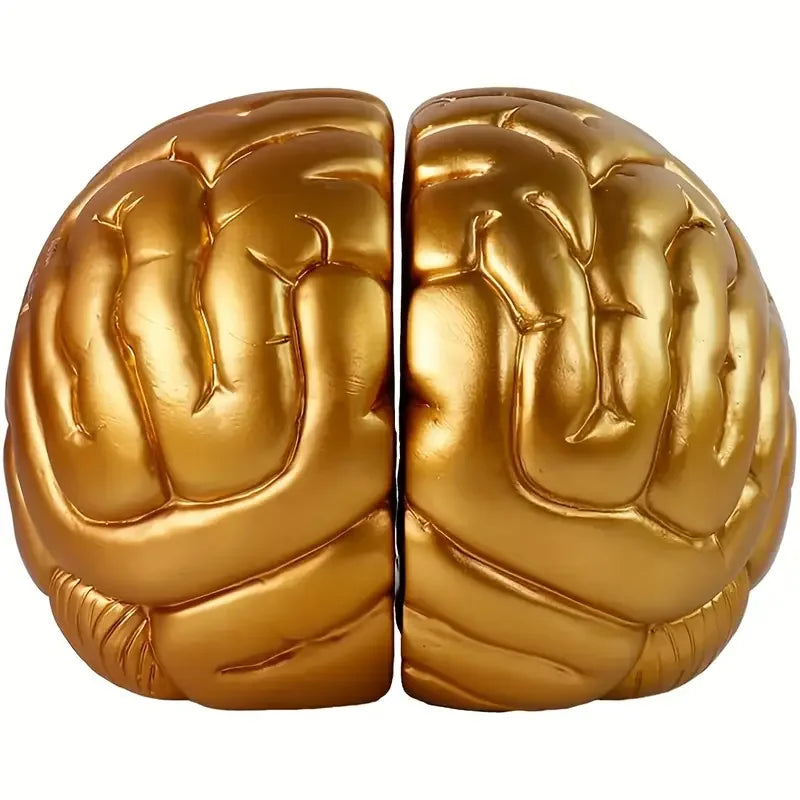 Gold Resin Brain Bookends - Shiny Metallic Finish Durable Resin Material Modern Decor StyleIdeal for Home Bookshelf Organizer