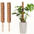 Premium Natural Coir Moss Poles Stackable Galvanized Finish Home Garden Flower Pots Planters