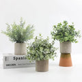 DS501Mini Potted Faked Plant Faux Plastic Small Eucalyptus Rosemary Plant in Pot for Bathroom Kitchen Farmhouse Room Decor MegaBDM