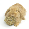 Hand-Woven Water Grass Chewable Ball Toy for Pets Teething Rabbit Guinea Pig Snack Totoro Nibble Straw for Boredom Relief