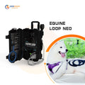 Dog Therapy High Power Magnawave Pulse Electromagnetic Field PEMF Machine PMST LOOP for Dog Physiotherapy Device