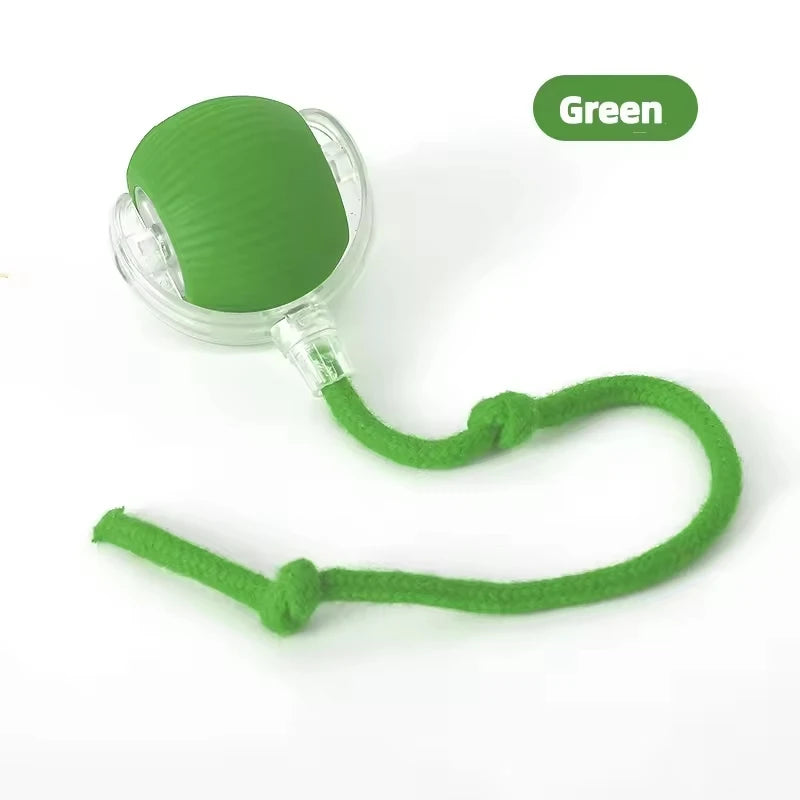 New Products Cat Partner Interactive Smart Ball With Tail Accessories Rolling