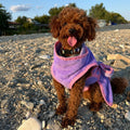 Extra Large Eco-Friendly Bamboo Bathrobe for Dogs Quick Drying Coat Adjustable Neck Various Breeds Soft Pet Cleaning Bathing