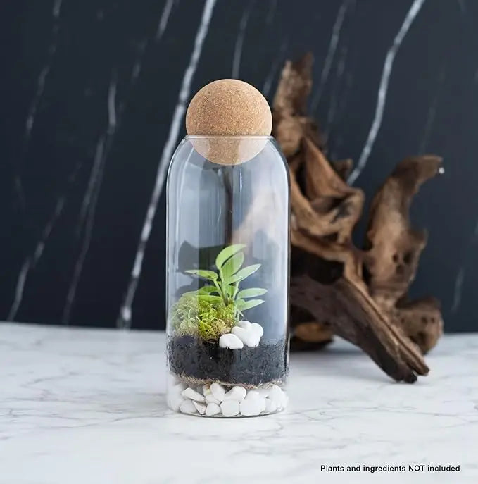 Glass Terrarium with Airtight Wood Lid Closed Terrarium Planter Clear Glass Bottle Jar Container 1200ml 40oz Indoor Ecosystem MegaBDM