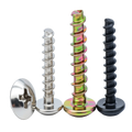 Carbon Steel Zinc Plated Nickle Plated Black Phillips Truss Head Self Tapping Screws