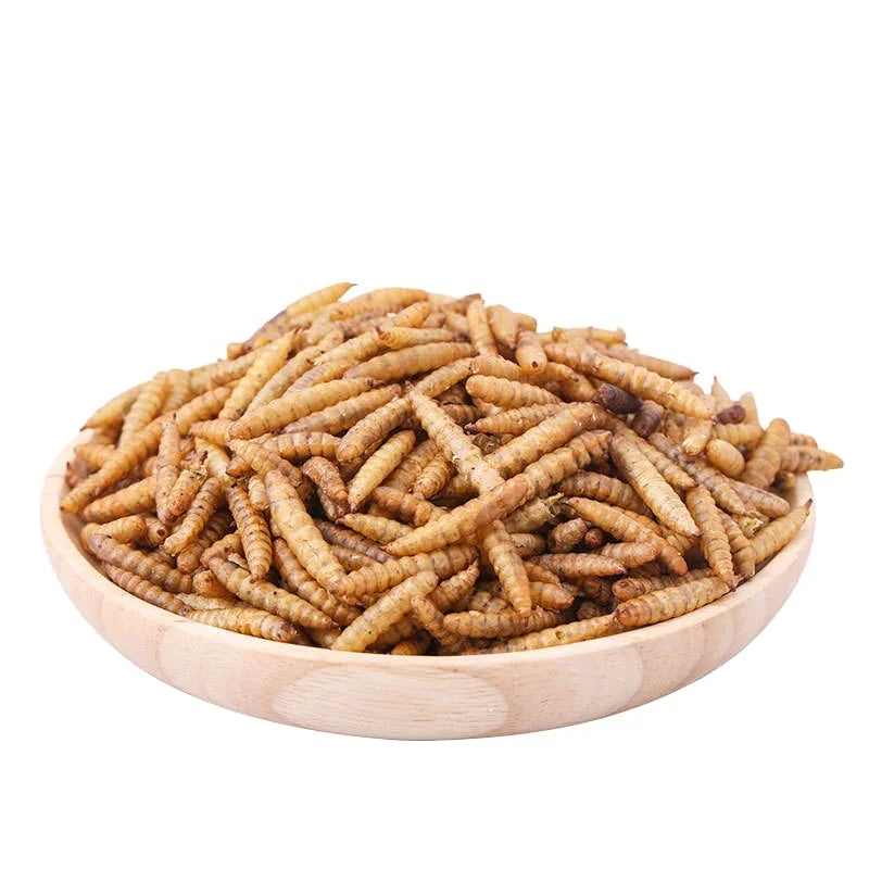 Black Soldier Fly Larvae Dried Fish Meal Natural Flavor No Additives Animal Feed Additives for Horse Pig Cattle Fish Dog 57%