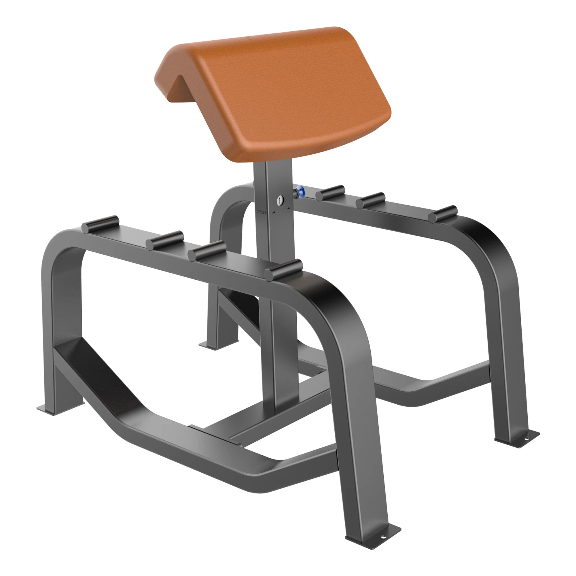 New Design Factory Strength Training Home Gym Fitness Equipment Commercial Use Workout Machine Dual Function Preacher Curl Club