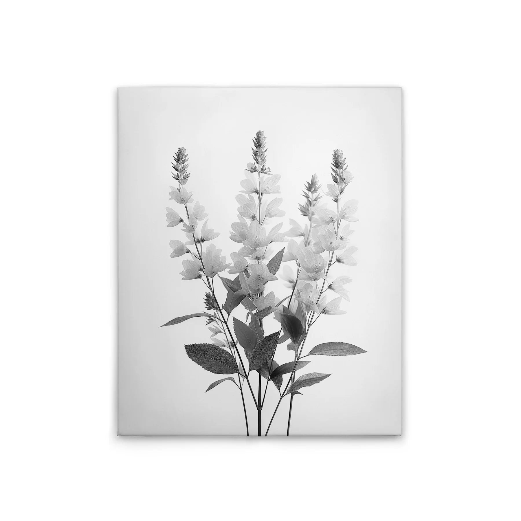 Made In Germany - Home Decor Canvas Picture Flowers Vintage Sw - Wall Painting Mural In Black And Grey - Stretcher Frame Art
