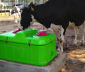Winter Hot Sale 2 Holes Anti Ice Animal Drinkers No Need Break Ice Livestock Waterer Trough MegaBDM