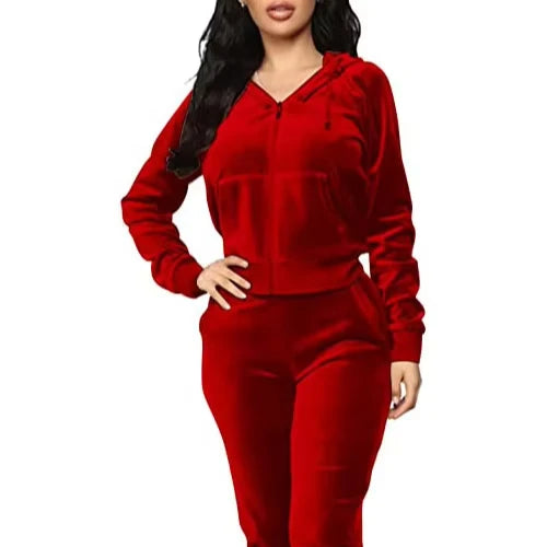 promotionCustom LOGO Fall Winter 2024 Velvet Tracksuits Two Piece Set Women Hoodie Sets 2 Piece Velour Jogger Set Sweat Suits