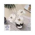 BEST CHOICE Handcrafted Reed Diffuser Sticks for a Pleasant Ambient Scent and Mood Enhancing.