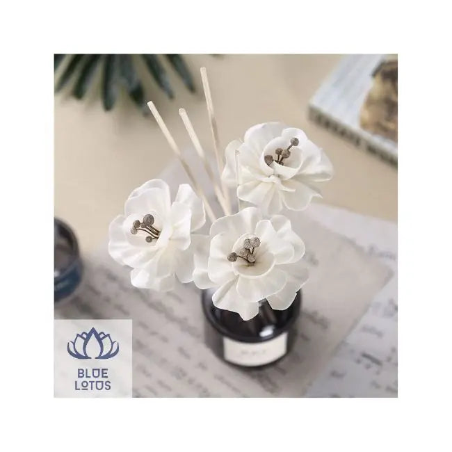 BEST CHOICE Handcrafted Reed Diffuser Sticks for a Pleasant Ambient Scent and Mood Enhancing.