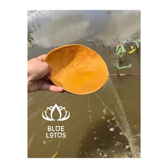HOT SELLING! Natural Gourd Calabash Bowls: HIGH QUALITY for Drinking Yerba Mate Serving & Unique Decor - BLUE LOTUS