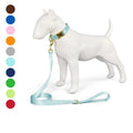 MIDEPET Pet Adjustable Collars and Leashes Pet Interactive Outdoor Use New Products Listed Factory Direct Sales