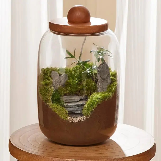 Desktop Glass Terrarium with Time-Controlled Grow Light Plant Propagation Station Air Planter for Office and Home Decoration MegaBDM