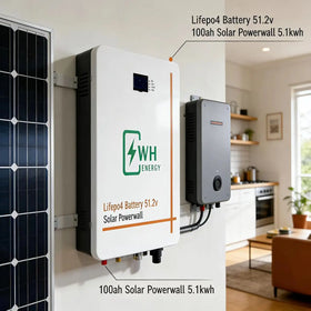 Wall-mounted Prismatic Lifepo4 24V 48V 51.2V 100Ah/200Ah Lithium Metal Power Ion Battery Pack Home Solar Storage Battery