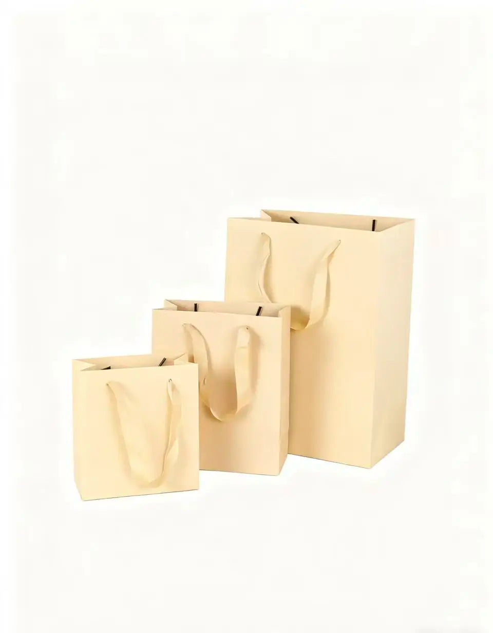 Fashion Personalized High Quality Wholesale Jewelry Paper Bag Luxury Ribbon for Cosmetics Clothing Shopping