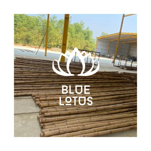 Decorative Eco-Friendly Bamboo Poles for Indoor Use Natural Fence and Craft Material Waterproof From BLUE LOTUS Vietnam