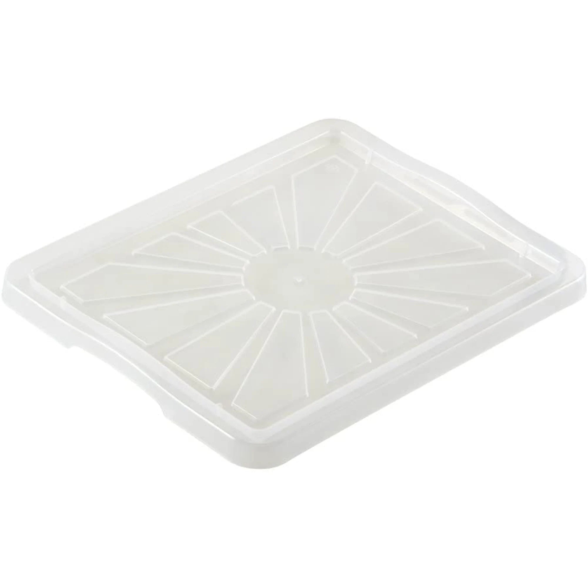 Franz Storage Box Lid Size: M 35 x 27 cm Transparent