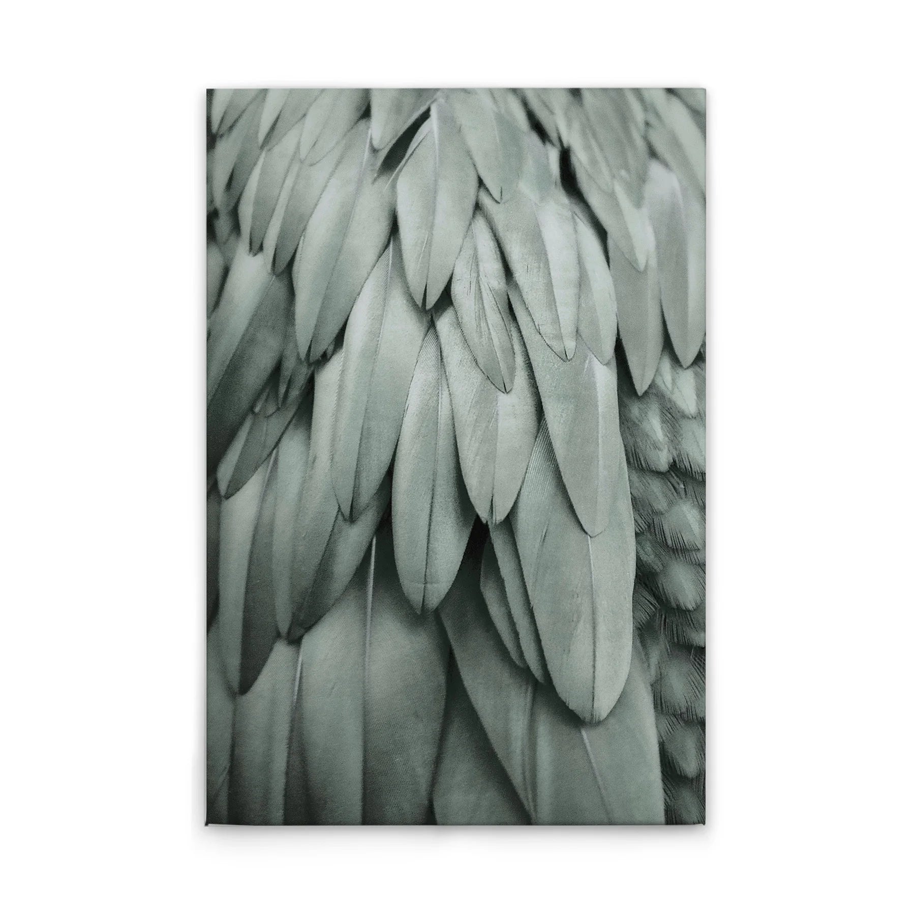 Made In Germany - Home Decor Canvas Picture Feathers Modern - Wall Mural In Blue And Grey - Canvas Picture On Stretcher Frame