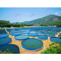 Lvju 10000 Lieters Aquaculture Fish Tanks Round Reservoir Aquaculture Fish Pond
