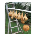 BEST SELLING Gourd Bird Houses: Eco-Friendly Decor & Safe Haven for Birds. HIGH QUALITY Craftsmanship - BLUE LOTUS